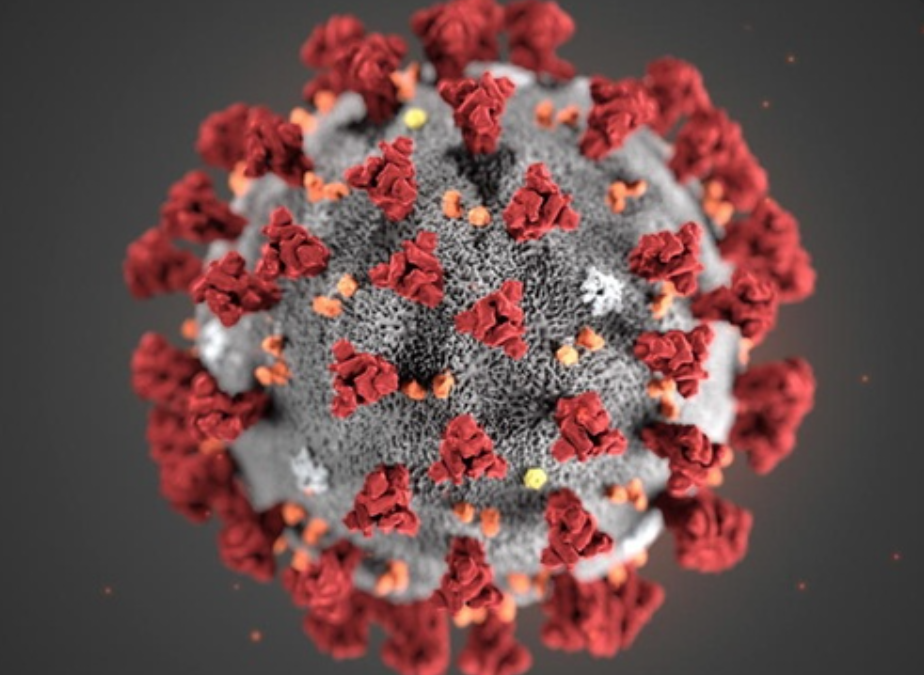 Coronavirus : courriel urgent à la cheffe de la santé